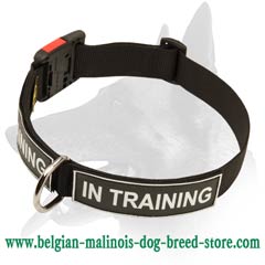 Malinois Training Nylon Dog Collar