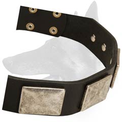Luxurious Malinois Leather Dog Collar