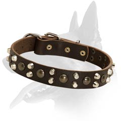 Excellent Malinois Leather Dog Collar