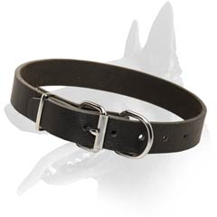 World-class Malinois Leather Dog Collar