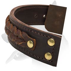 Superb Malinois Leather Dog Collar