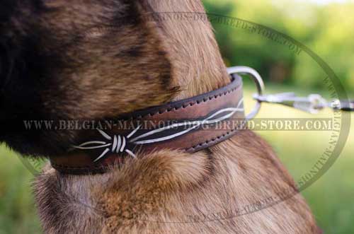 Exclusively Decorated Malinois Leather Collar