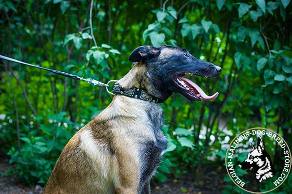 Belgian Malinois black leather collar easy-to-adjust with handset decoration for daily activity