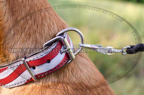  Malinois Leather Collar American Pride Collar with Nickel D-ring