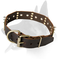 Exquisite Spiked Belgian Malinois Leather Collar