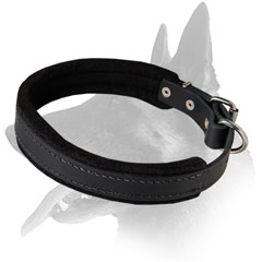 Belgian Malinois Leather Collar With Padding Gentle For  Sensitive Skin