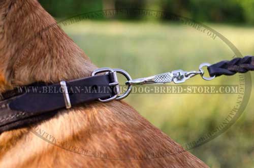 Easy-to-use Belgian Malinois Leather Collar