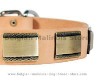 Designer dog Collar for Belg malinois-Leather Custo