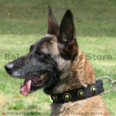 Nylon collars