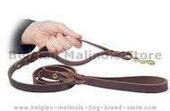 Looking for dog training lead 5 FT for Belgian Malinois training