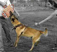 Training Dog bite pad made of jute with 3 handles- SCHUTZHUND