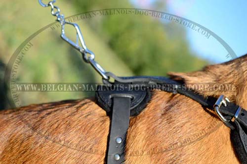 Excellent Malinois Dog Leather Harness