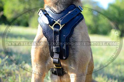 Easy to fit Belgian Malinois Dog Leather Harness