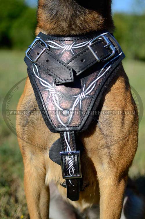Painted Malinois Leather Harness