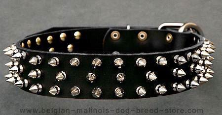 Black Leather Spiked dog Collar for Belgian malinois