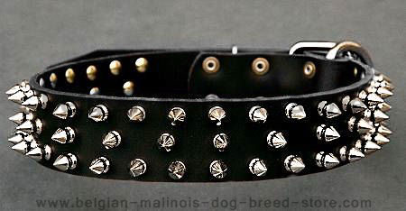 Black Spiked Leather Dog Collar for Belgian Malinois