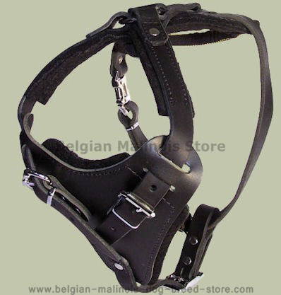 Durable Dog Harness-Leather Dog Harness for Belgian Malinois