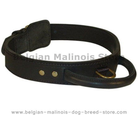 1 3/4 inch LEATHER DEPLOYMENT COLLAR for Belgian Malinois