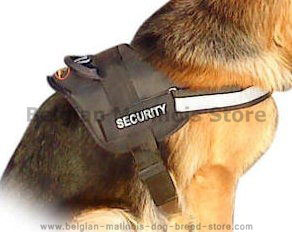 Adjustable Nylon Patrol Harness for Belgian Malinois