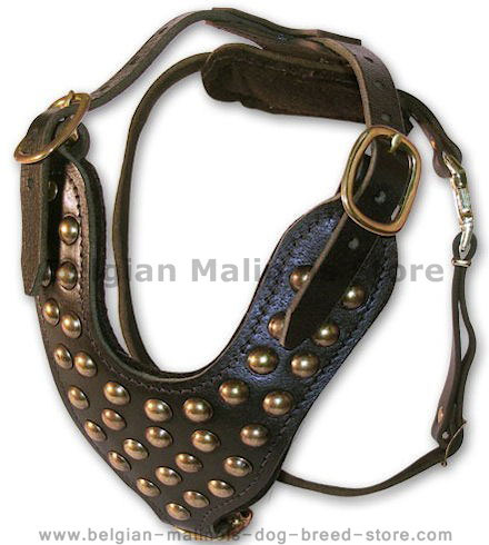 Handcrafted Studded Leather Dog Harness for Malinois - H15