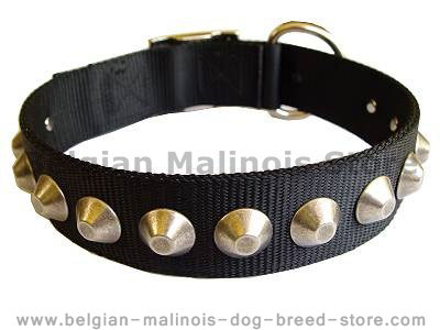 Gorgeous Wide Nylon Dog Collar With Nickle Pyramids for belgian malinois