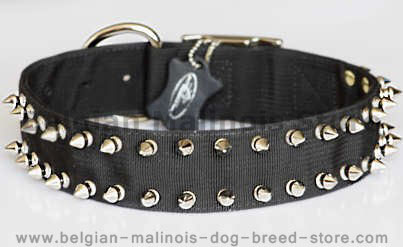 handmade leather dog collar 