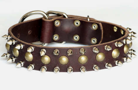 leather spiked and studded  dog collar 