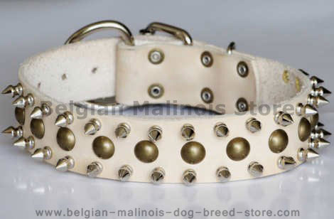 leather spiked and studded  dog collar 