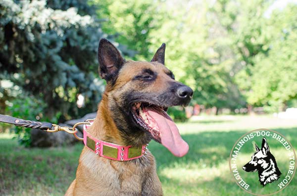 Belgian Malinois leather leash of braided design with brass plated hardware for quality control