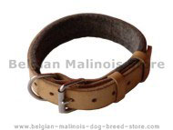 Leather Padded dog collar with thick felt