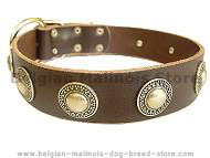 Leather Dog Collar with silver conchos