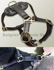 Best Leather tracking harnesses for Belgian Malinois