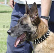 Leather Spiked Dog Collar-3 Rows of spikes