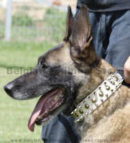 3 Rows Leather Spiked and Studded Dog Collar- White collar