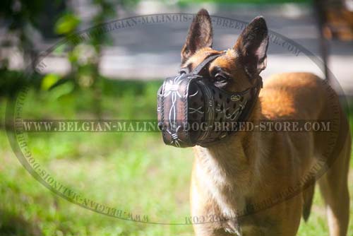 Leather Muzzle with pattern