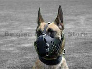 No barking Leather dog muzzle perfect for Malinois