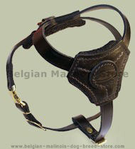 Small Leather Dog Harness for Belgian Malinois puppy
