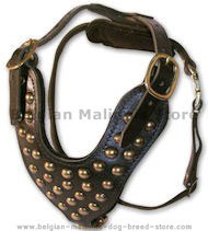 Stud Dog Harness for Belgian Malinois -2 ply leather HARNESS