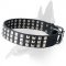 Stylish Leather Collar With Steel Nickel Plated Cones