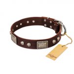 "Pirate Skull" FDT Artisan Brown Leather Belgian Malinois Collar with Old Silver Look Plates and Skulls