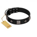 "Black Cavalier" Handmade FDT Artisan Black Leather Belgian Malinois Collar with Silver-Like Stars and Large Plates