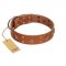 "Dreamy Gleam" FDT Artisan Tan Leather Belgian Malinois Collar Adorned with Stars and Squares