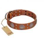 "Sun Rise Noon" FDT Artisan Tan Leather Belgian Malinois Collar with Unique Design