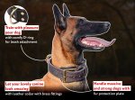 Elegant Two Ply Leather Collar For Training