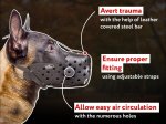 Attack/Agitation Training Muzzle for Belgian Malinois