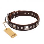 'Perfect Impression' FDT Artisan Belgian Malinois Brown Leather Dog Collar with Silvery Square Studs - 1 1/2 inch (40 mm) Wide