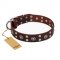 "Pirate Treasure" FDT Artisan Exciting Brown Leather Belgian Malinois Collar with Studs