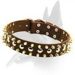 Leather Spiked and Studded Collar for Belgian Malinois