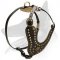 Exclusive Design Studded Leather Harness for Belgian Malinois