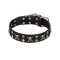 FDT Artisan 'Rock 'n' Roll Style' Leather Belgian Malinuas Collar with Skulls, Bones and Studs 1 1/2 inch (40 mm) wide